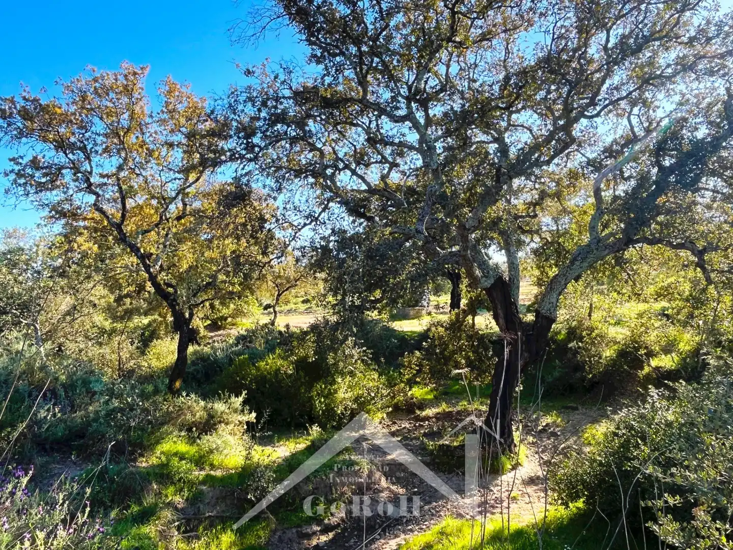 Terreni e lotti in vendita a Castilblanco de los Arroyos, imagen 35