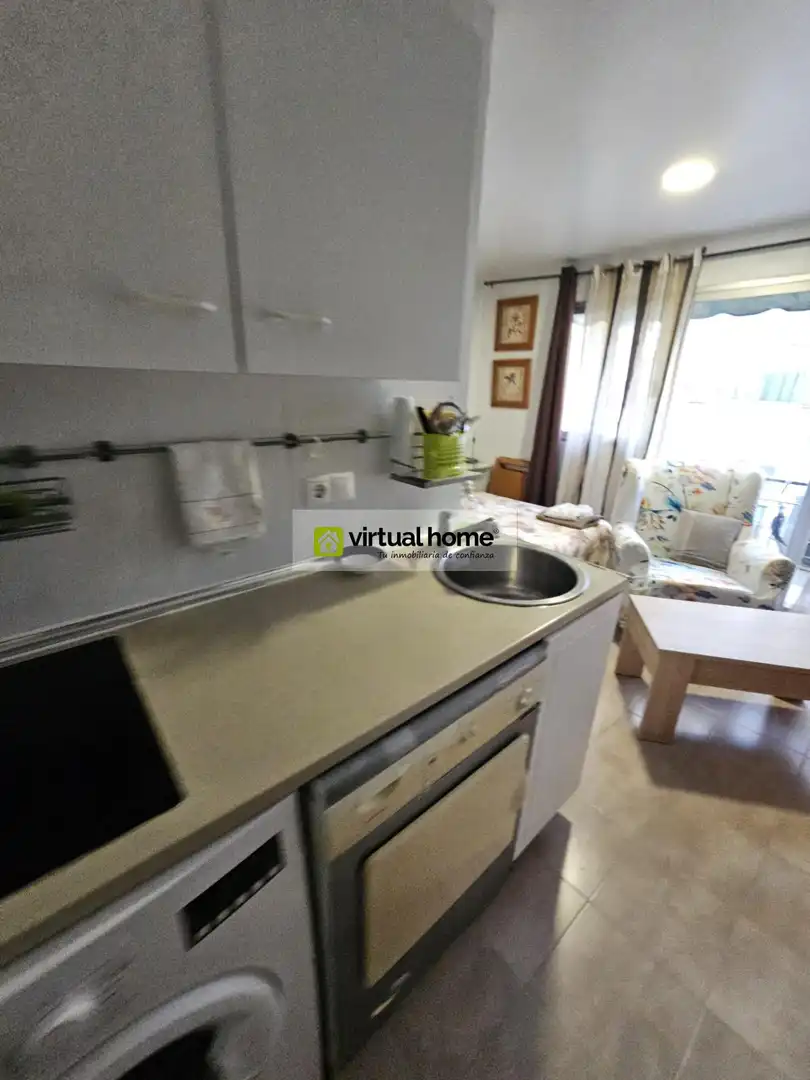 Study for rent in Centro Urbano