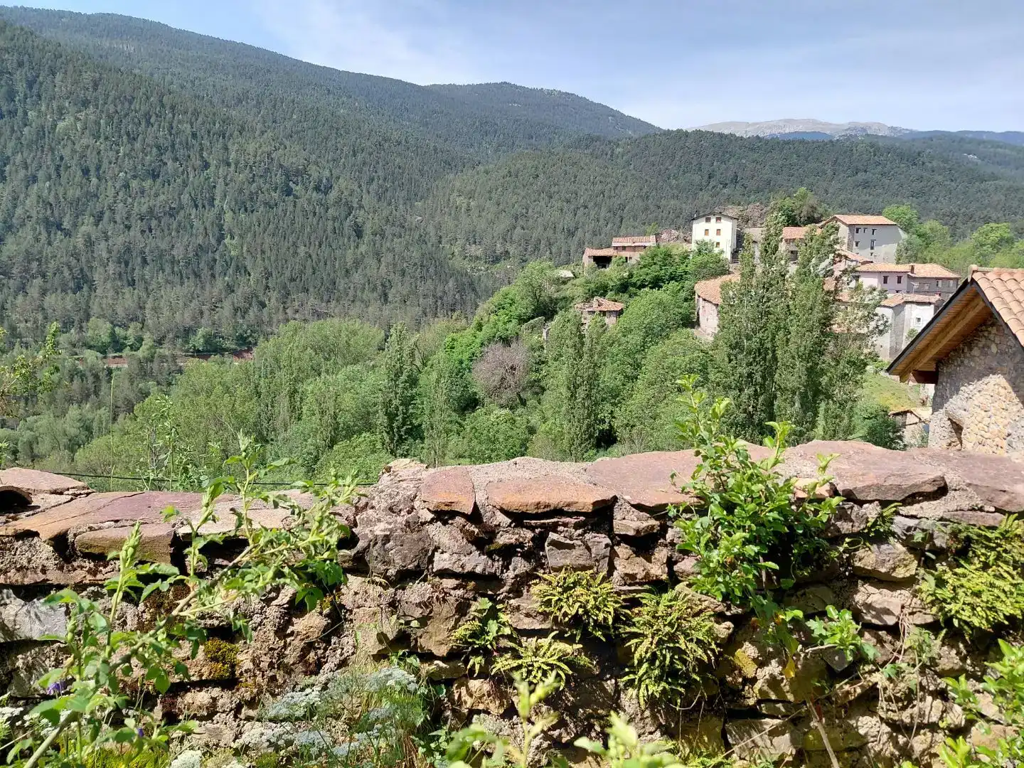 Vista exterior de Finca rústica en venta en Laspaúles, Huesca