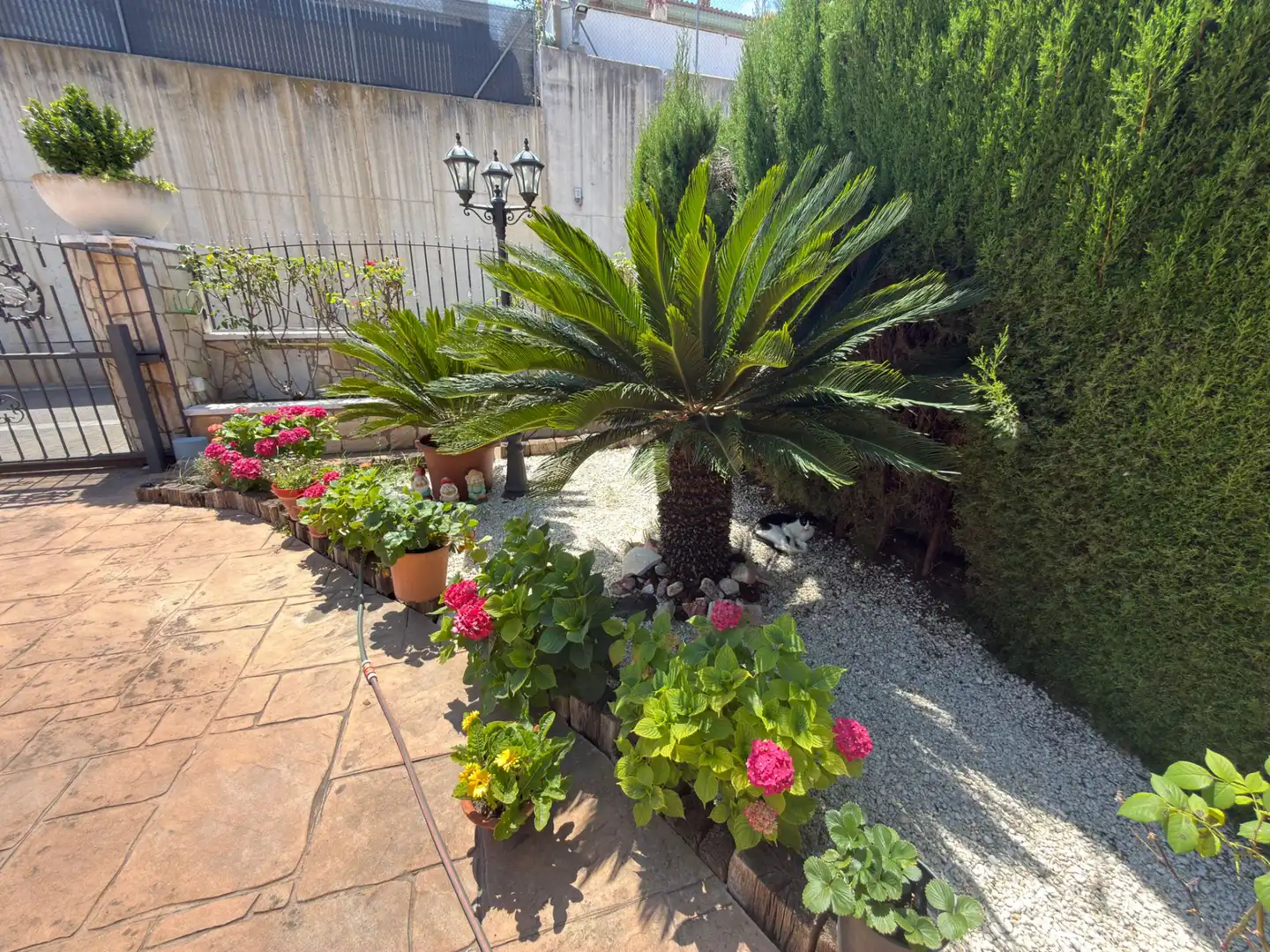 Jardí de Casa o xalet en venda en Sant Boi de Llobregat amb Calefacció, Jardí privat i Parquet