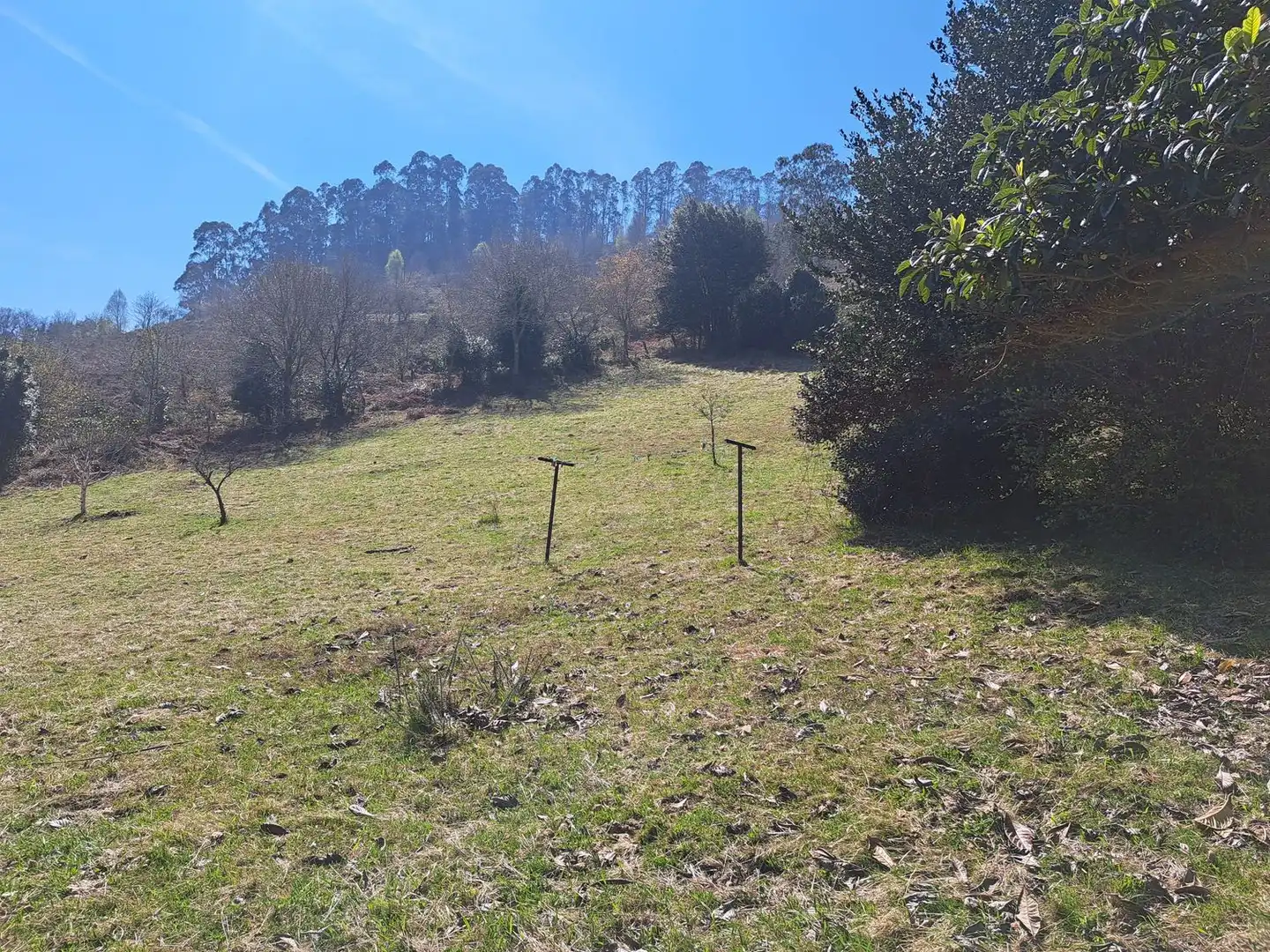 Casa o chalet en venta en Gijón  con Calefacción, Terraza y Trastero
