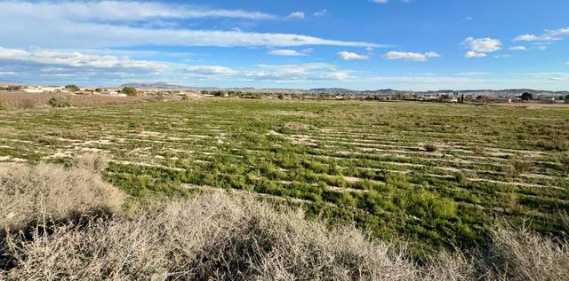 Terreno en Venta en Novelda