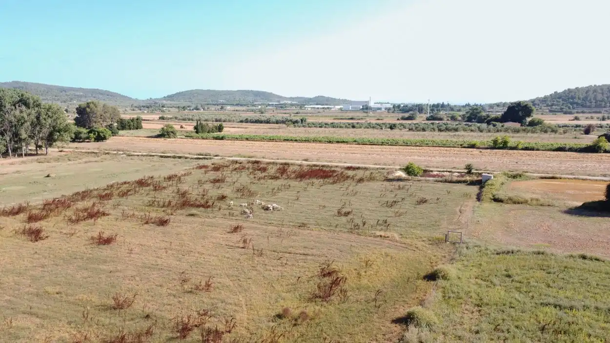 Rural land for sale in Ulldecona, imagen 8