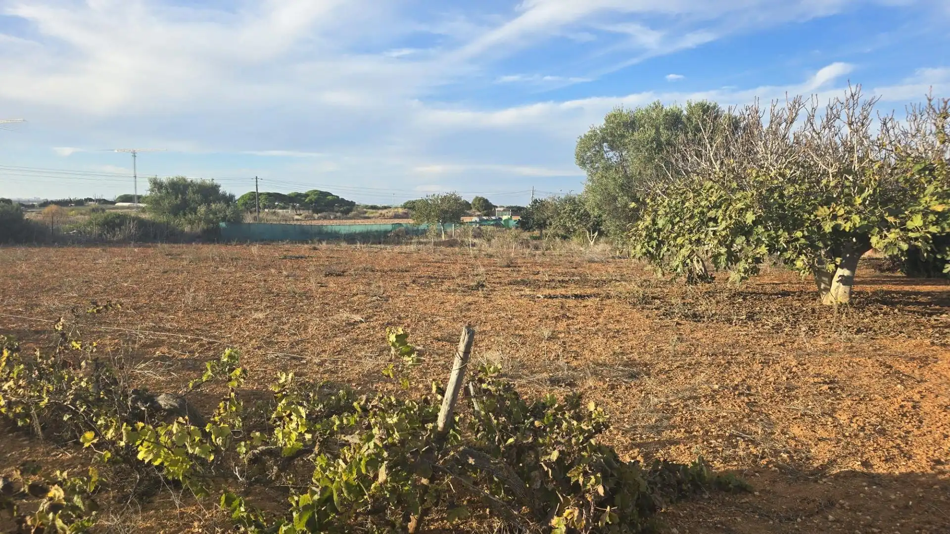 Land for sale in Los Franceses – La Vega
