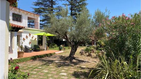 Foto 4 de Casa o xalet en venda a Altura, Castellón