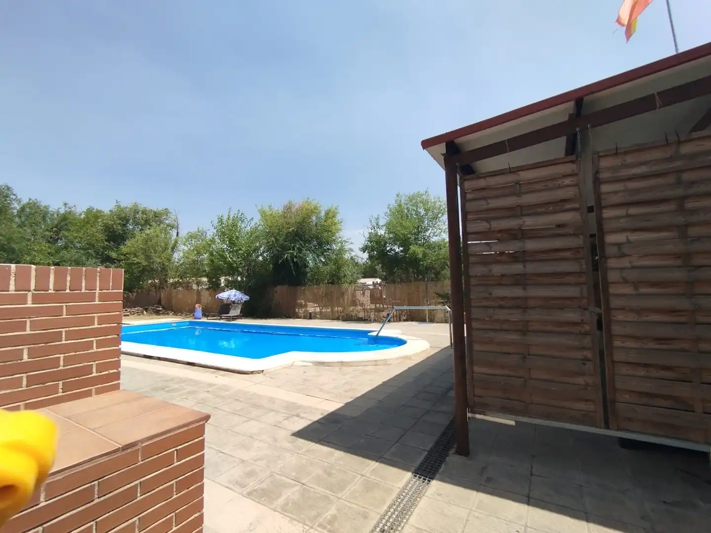 Piscina de Finca rústica en venda en Argamasilla de Alba amb Jardí privat, Piscina i Moblat