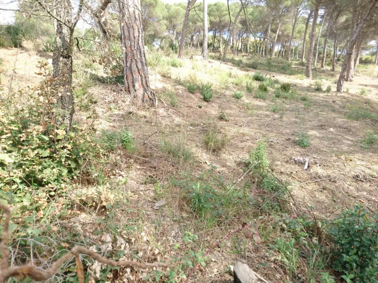 Terreny residencial en venda a Vilanova del Vallès, imagen 26