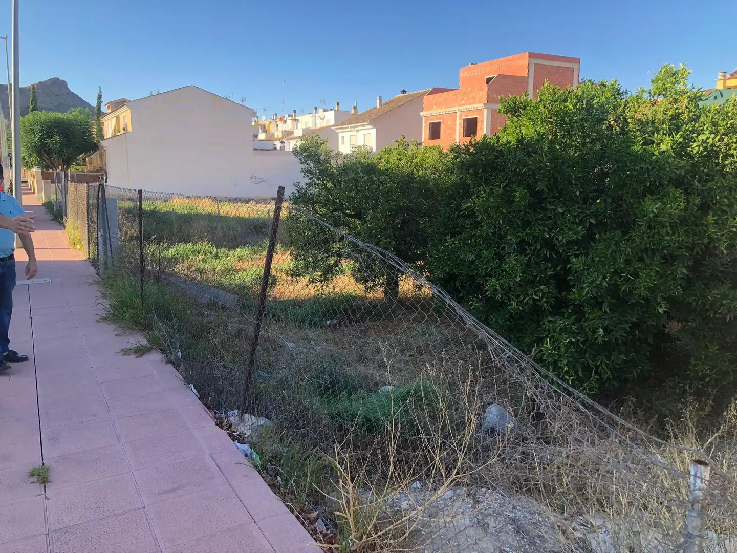 Residential land for sale in Villanueva del Río Segura, imagen 2