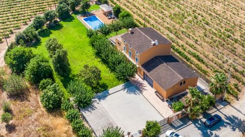Exclusiva Masía Catalana Catalogada Totalmente Reformada en el Corazón del Alt Penedès, immagine 5