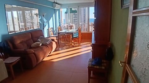 FANTÁSTICO APARTAMENTO DE 1 DORMITORIO, REFORMADO, CON PARKING COMUNITARIO Y PISCINA EN PLAYA DE LEVANTE, imatge 3