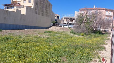 PerafortTerreno, immagine 4