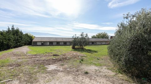 Te falta espacio o lo tuyo es la Agricultura?. Suelo rustico con 6800 metros cuadrados y 2 naves., imatge 2