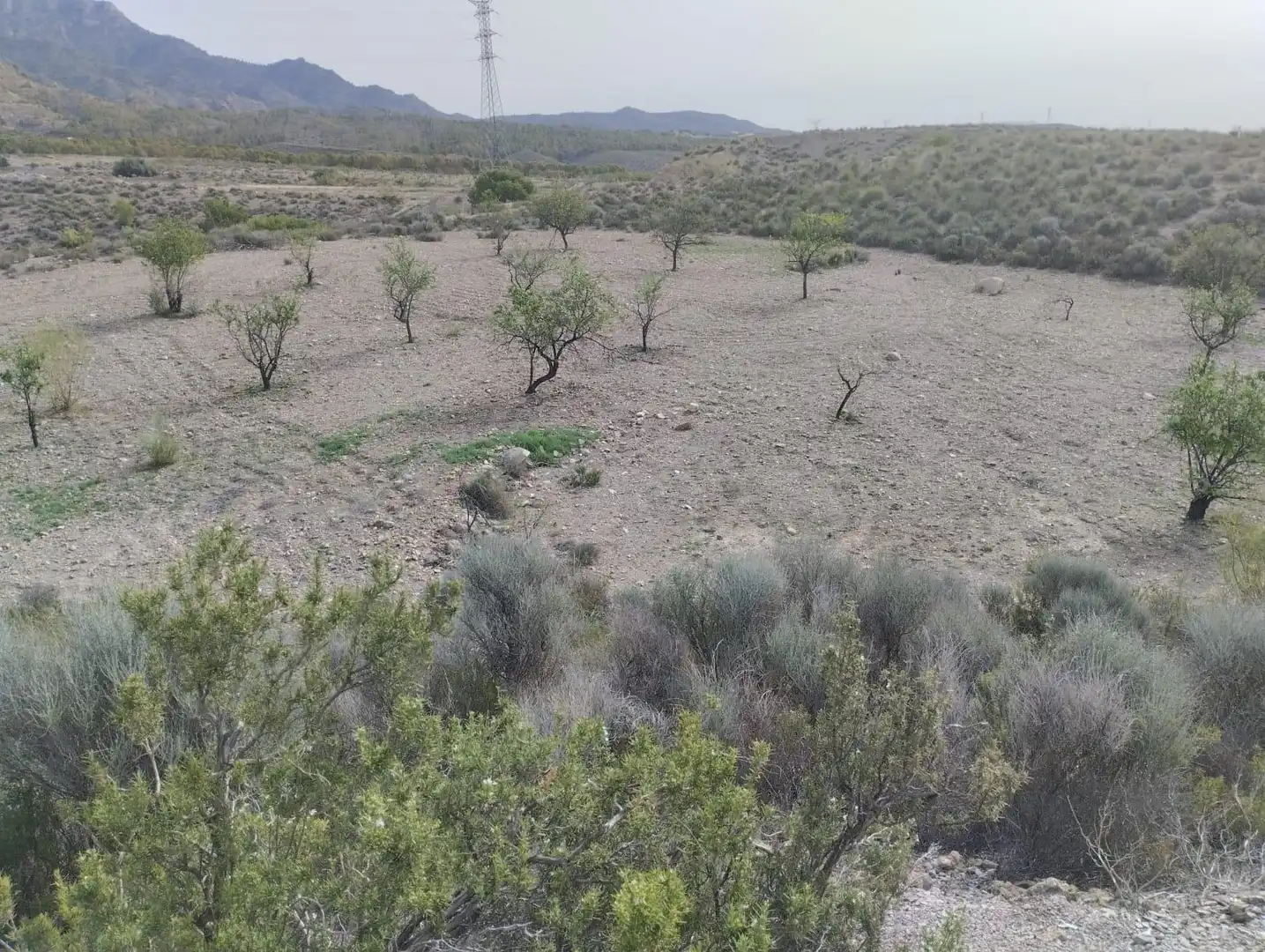 Terreno rustico in vendita a Pedanías Centro