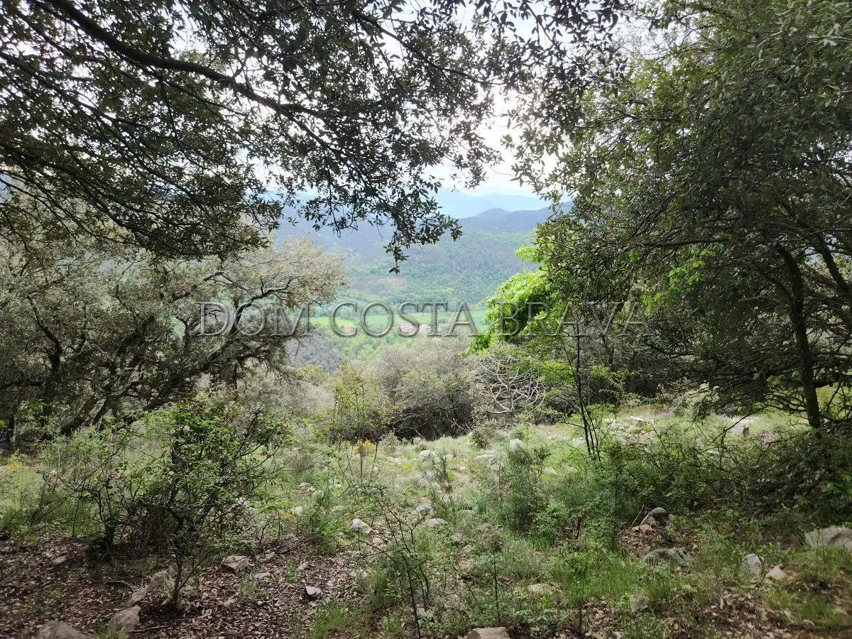Land for sale in Carrer Major, Montagut i Oix