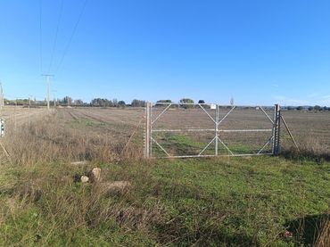 Terreni e lotti in vendita a Argamasilla de Calatrava