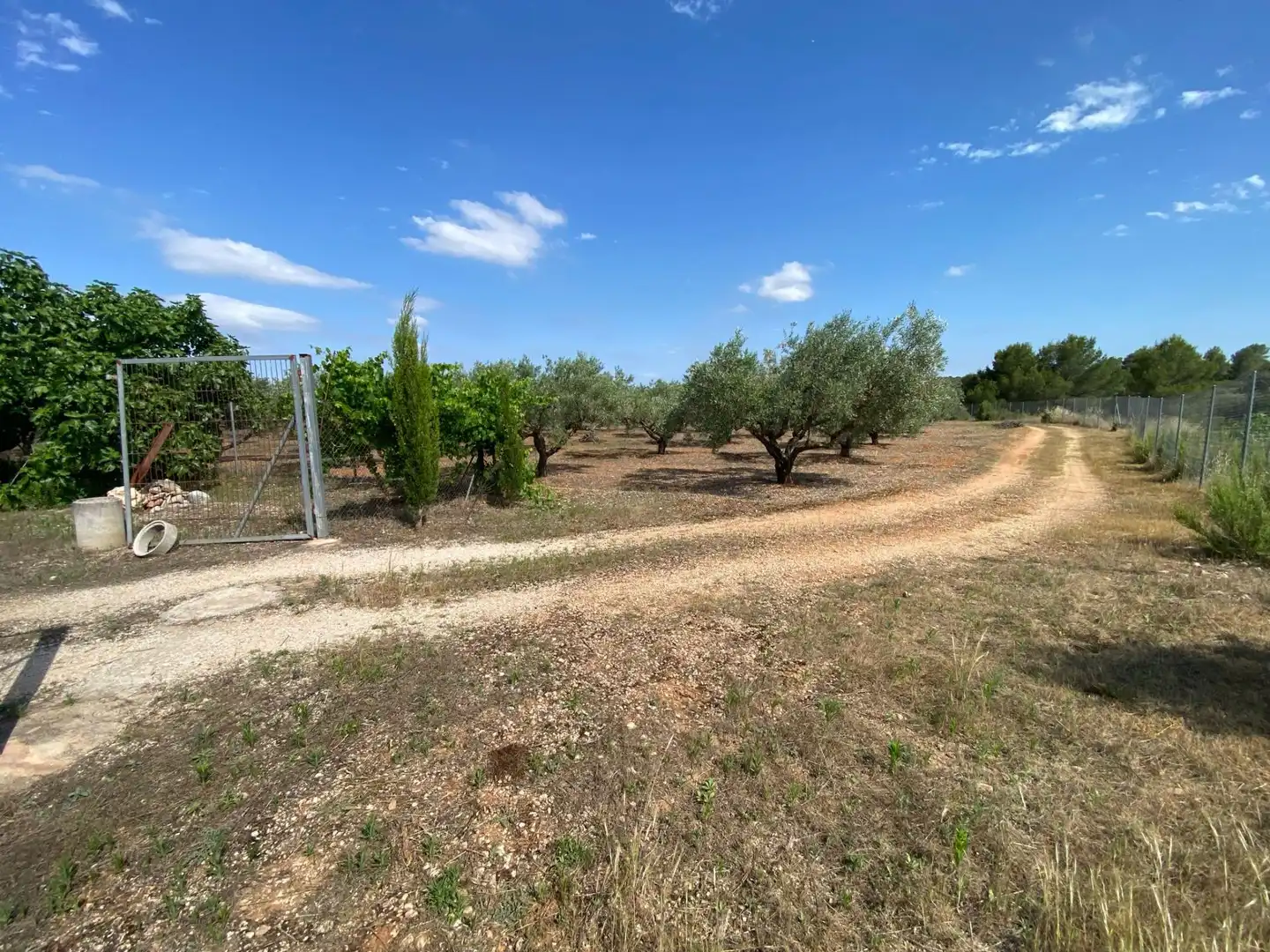 Casa o chalet en venta en Bolbaite