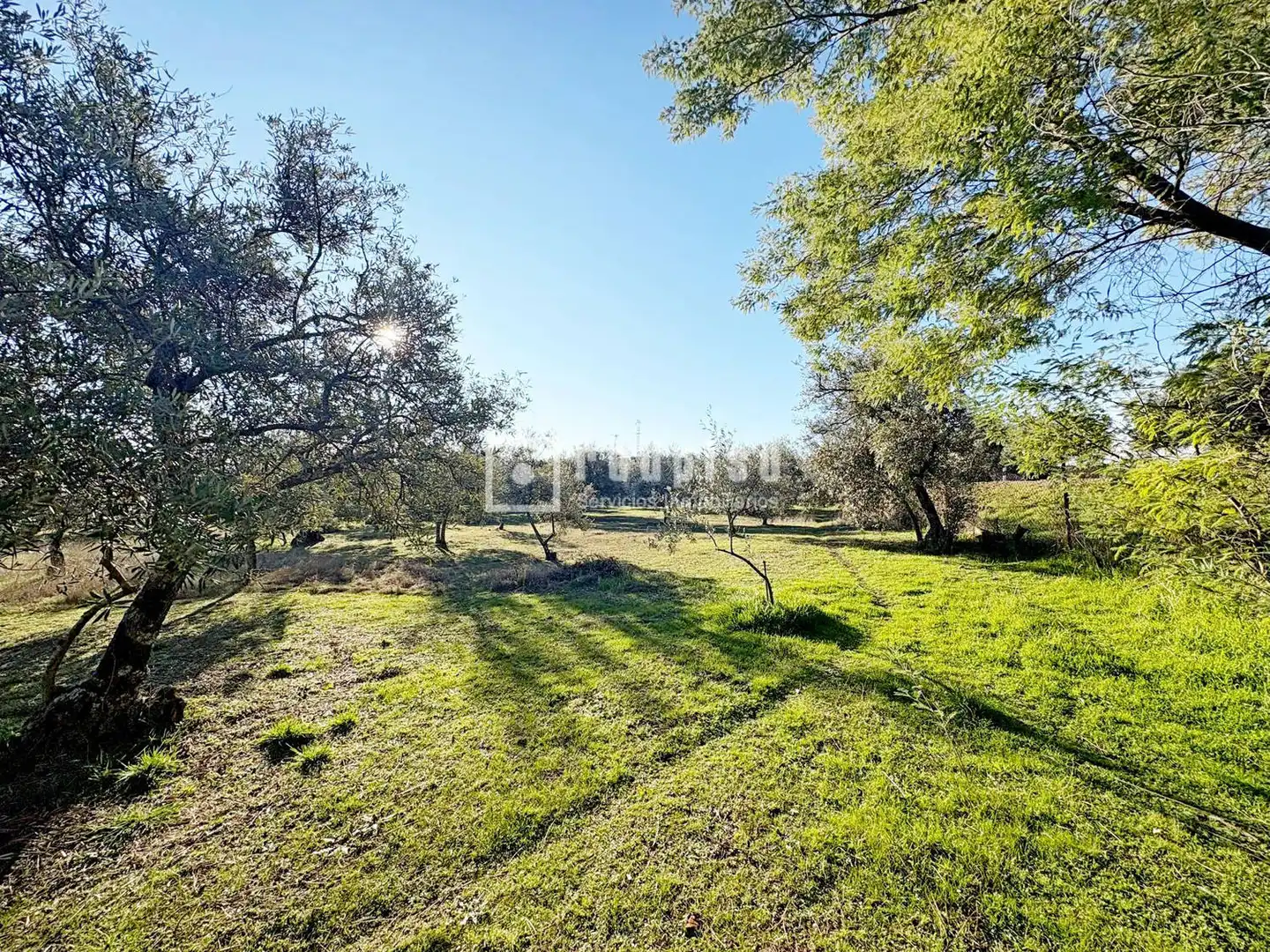 Casa amb jardí en venda a Diseminados, imagen 37