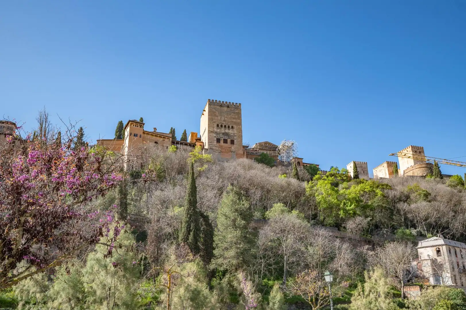 Exterior view of Buildings for sale in Granada