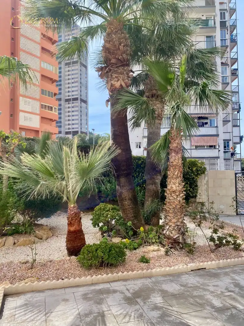 Appartamento con piscina in vendita a CALLE DE VIENA, 1, imagen 35