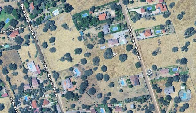 Terreno en Venta en Pasaje Monte del Casar, Casar de Cáceres, Spain, -1 en Casar de Cáceres