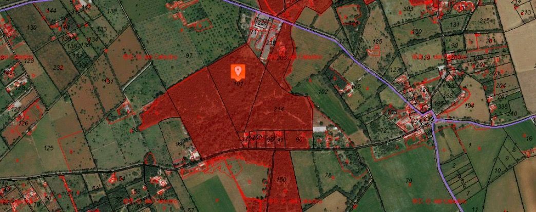 Land for sale in Binissalem