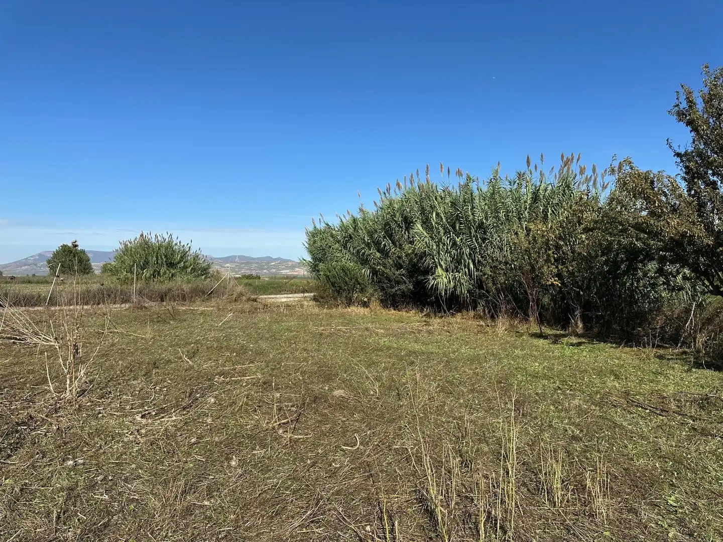 Finca rústica en venda en Fuente Vaqueros, Granada