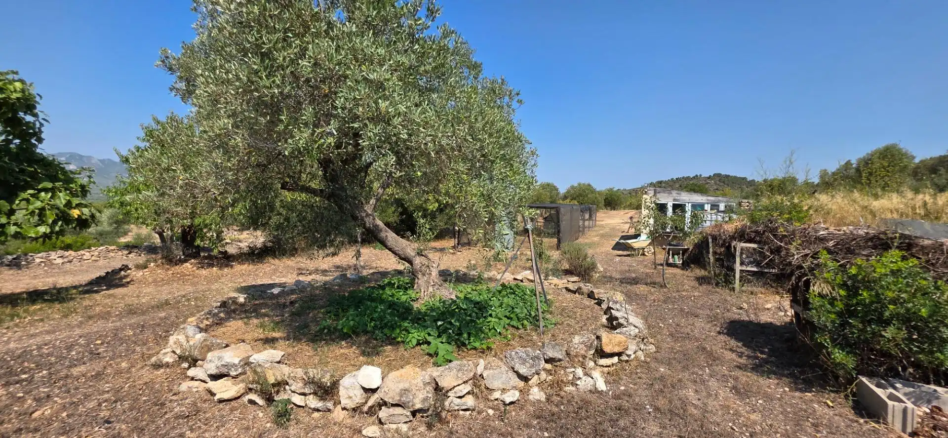 Casa rústica con piscina en venta en Tivissa, imagen 88