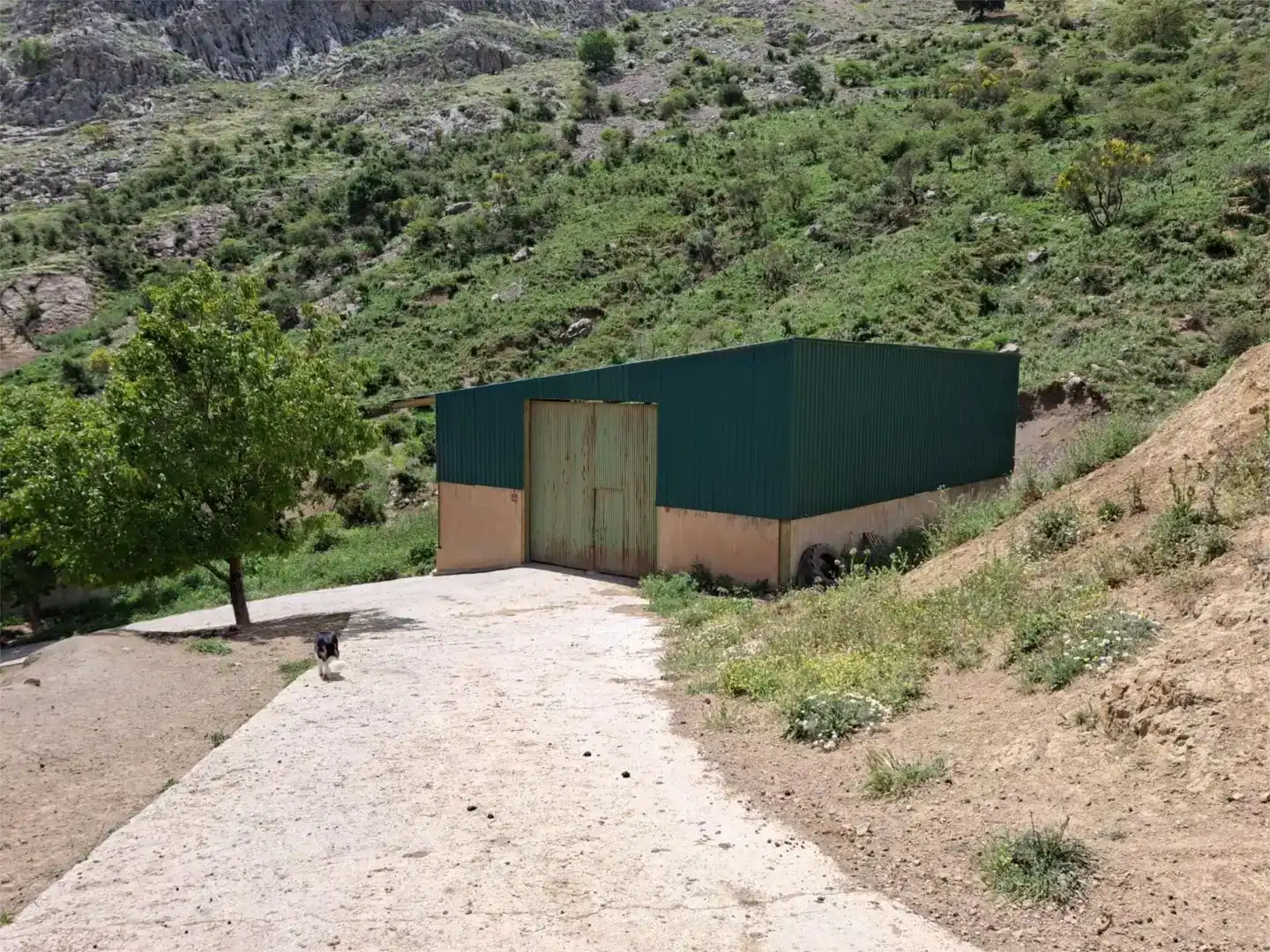 Vista exterior de Finca rústica en venda en Alfarnate