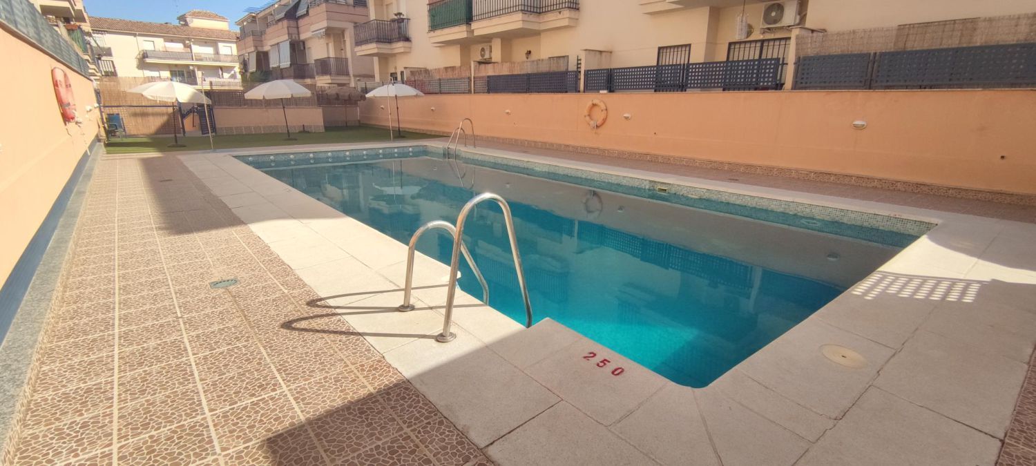 Swimming pool of Flat for sale in Las Gabias  with Terrace