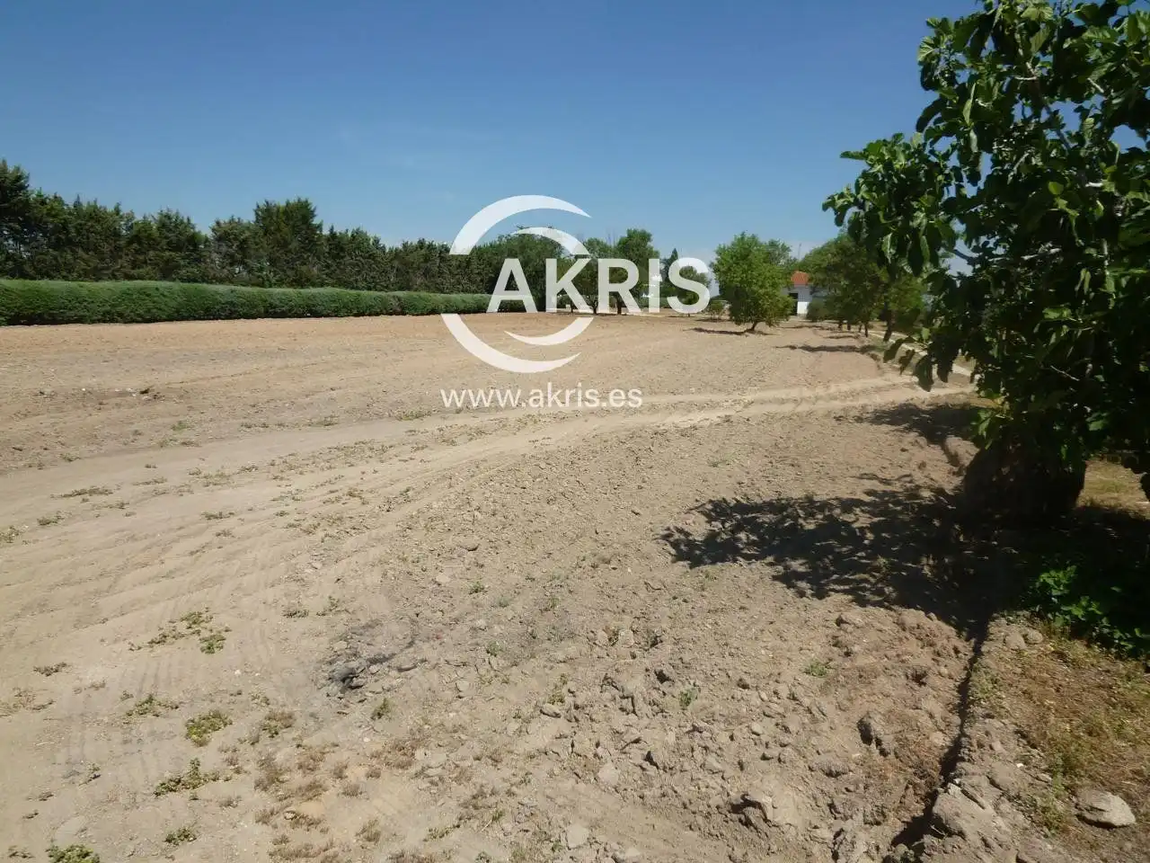 Residencial en venta en Avenida de América, Campodón - Ventorro del Cano