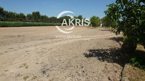 Foto 4 de Residencial en venda a Avenida de América, Campodón - Ventorro del Cano, Alcorcón