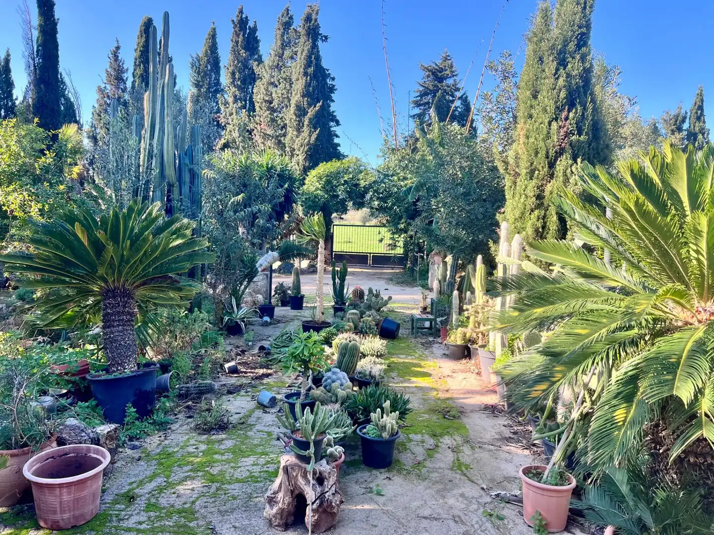 Landhaus mit Pool zum Verkauf in Centro, imagen 24