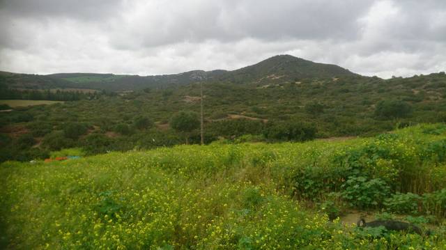 Terreno en Venta en San José del Valle