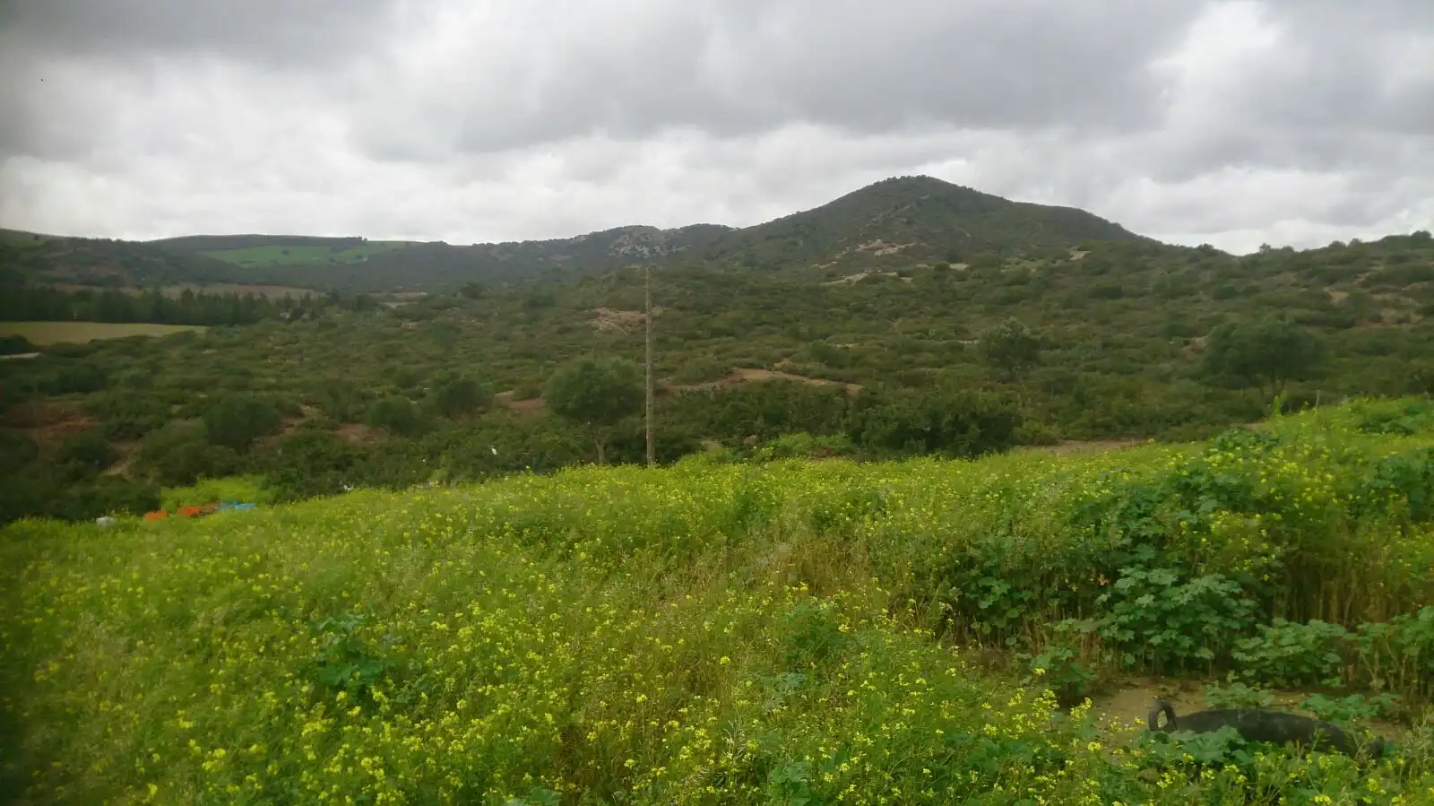 Rural land for sale in San José del Valle