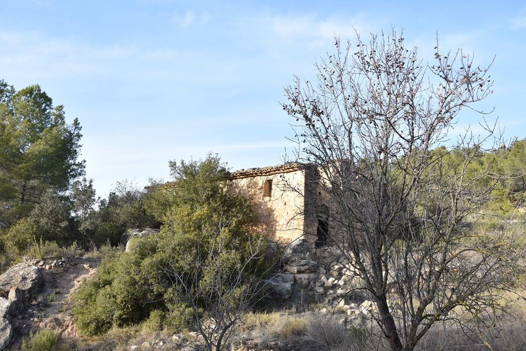 Exterior view of Country house for sale in Arens de Lledó