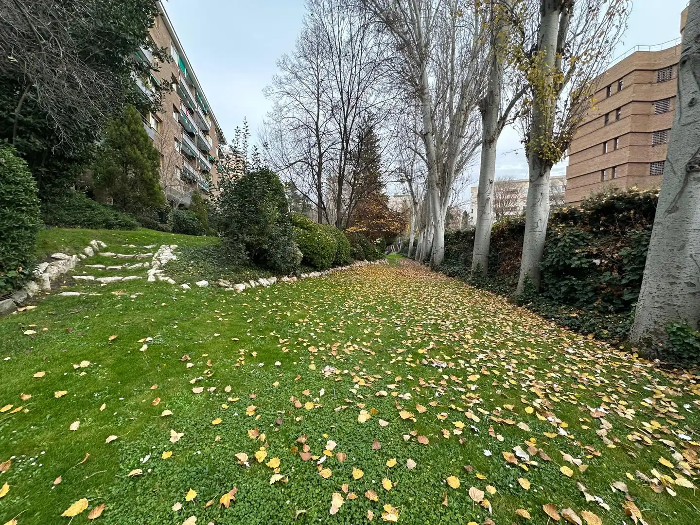 Exterior view of Flat for sale in Madrid  with Parquet flooring, Terrace and Storage room