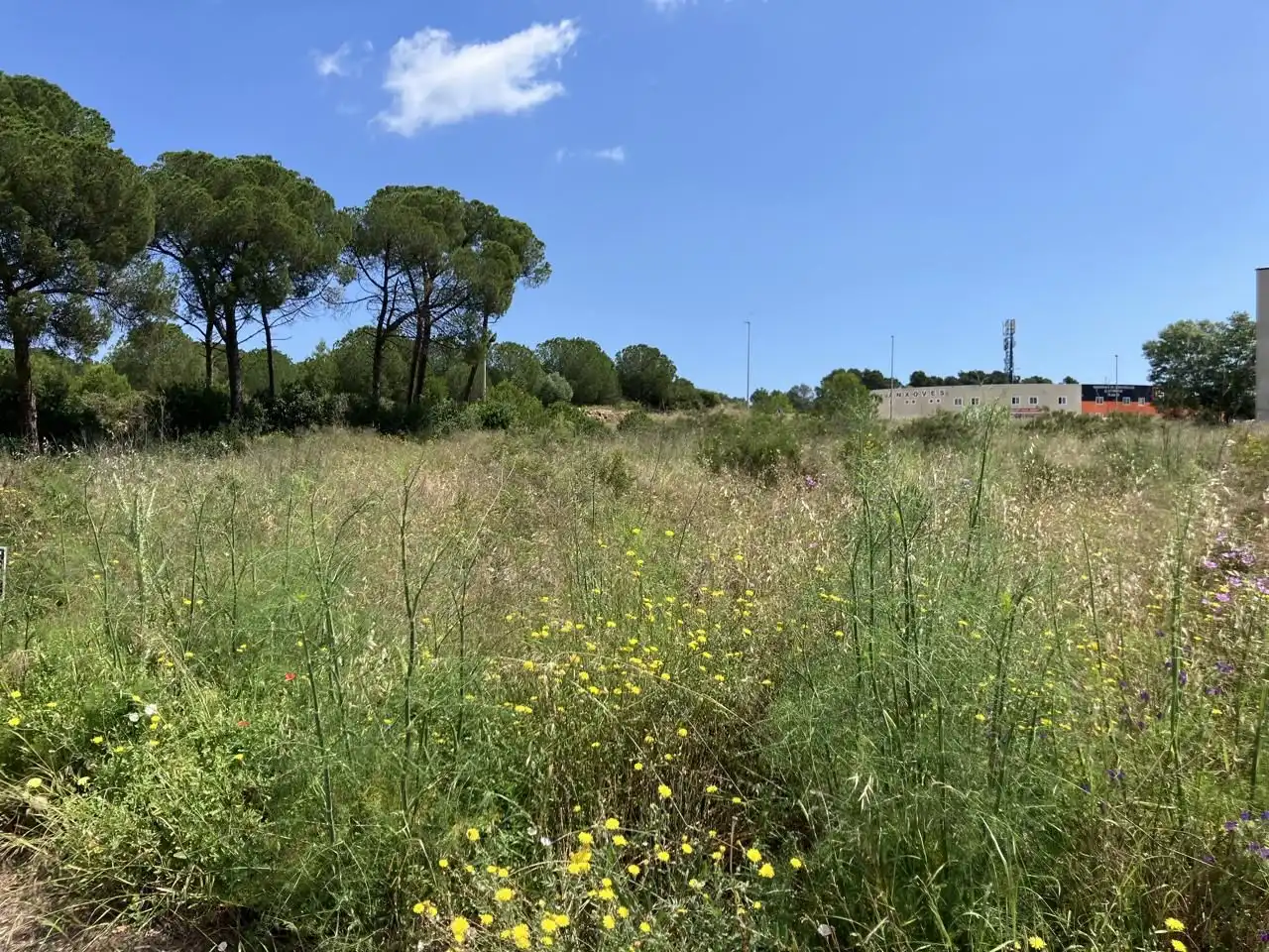 Terreny industrial en venda a Carrer dels Boters, Eixample Residencial