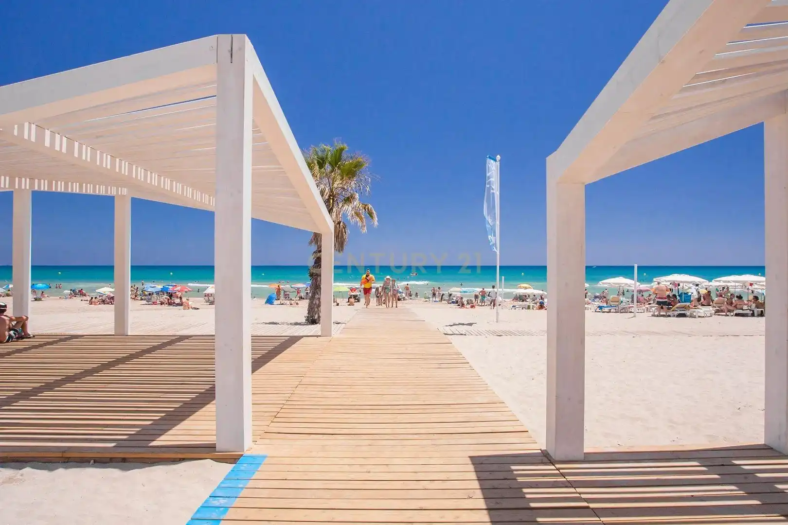 Vista exterior de Apartamento en venta en Alicante / Alacant