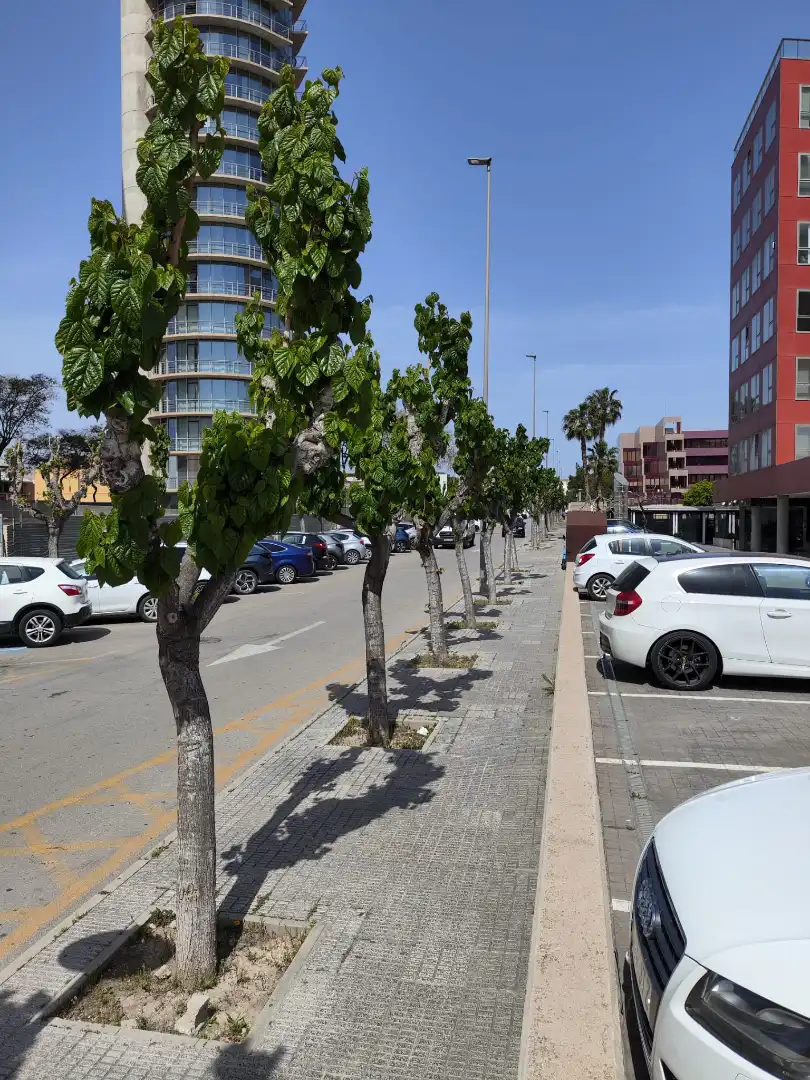 Einzelparkplatz zum Verkauf in Calle Central 10, imagen 7