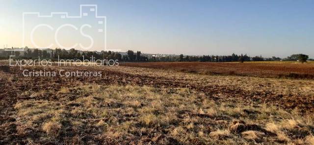 Terreno en Venta en Almonte ciudad