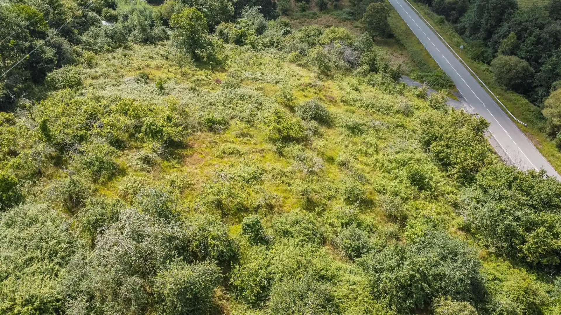Rural land for sale in del pareo, imagen 17