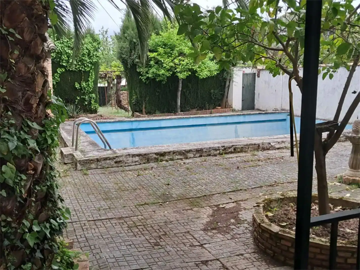 Piscina de Casa o xalet en venda en Baeza amb Jardí privat, Piscina i Moblat