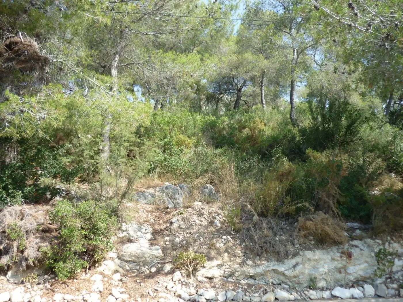 Terreno residencial en venta en Carrer Farigola 4, imagen 23