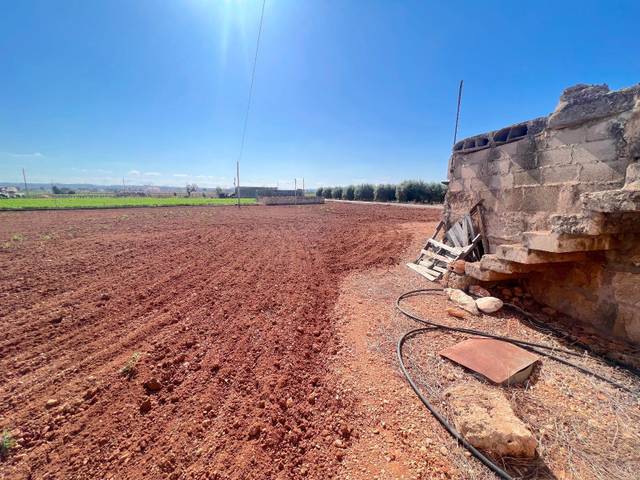 Terreno residencial en Venta en Sa Pobla