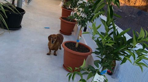 Foto 2 de Casa adosada en venta en Fiñana, Almería
