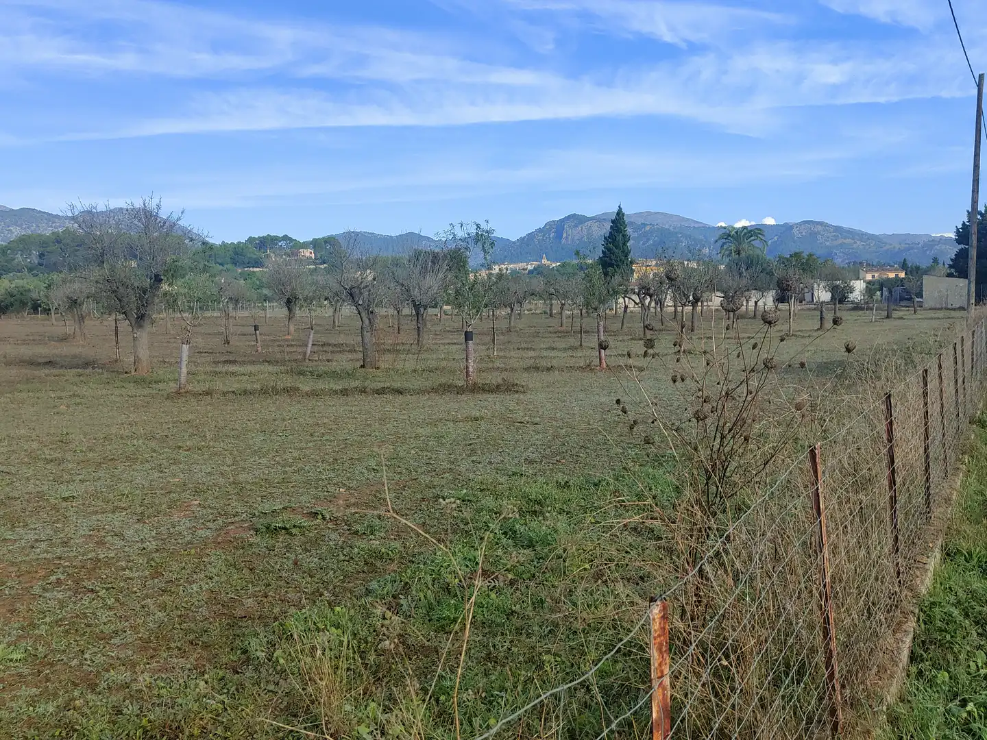 Terrain rustique à vendre à Camí Moscari 26, imagen 12