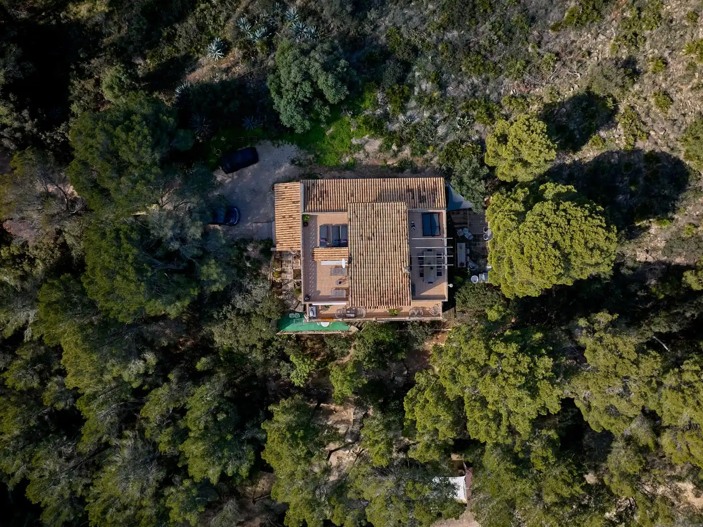 Jardí de Casa o xalet en venda en Andratx amb Calefacció, Jardí privat i Traster