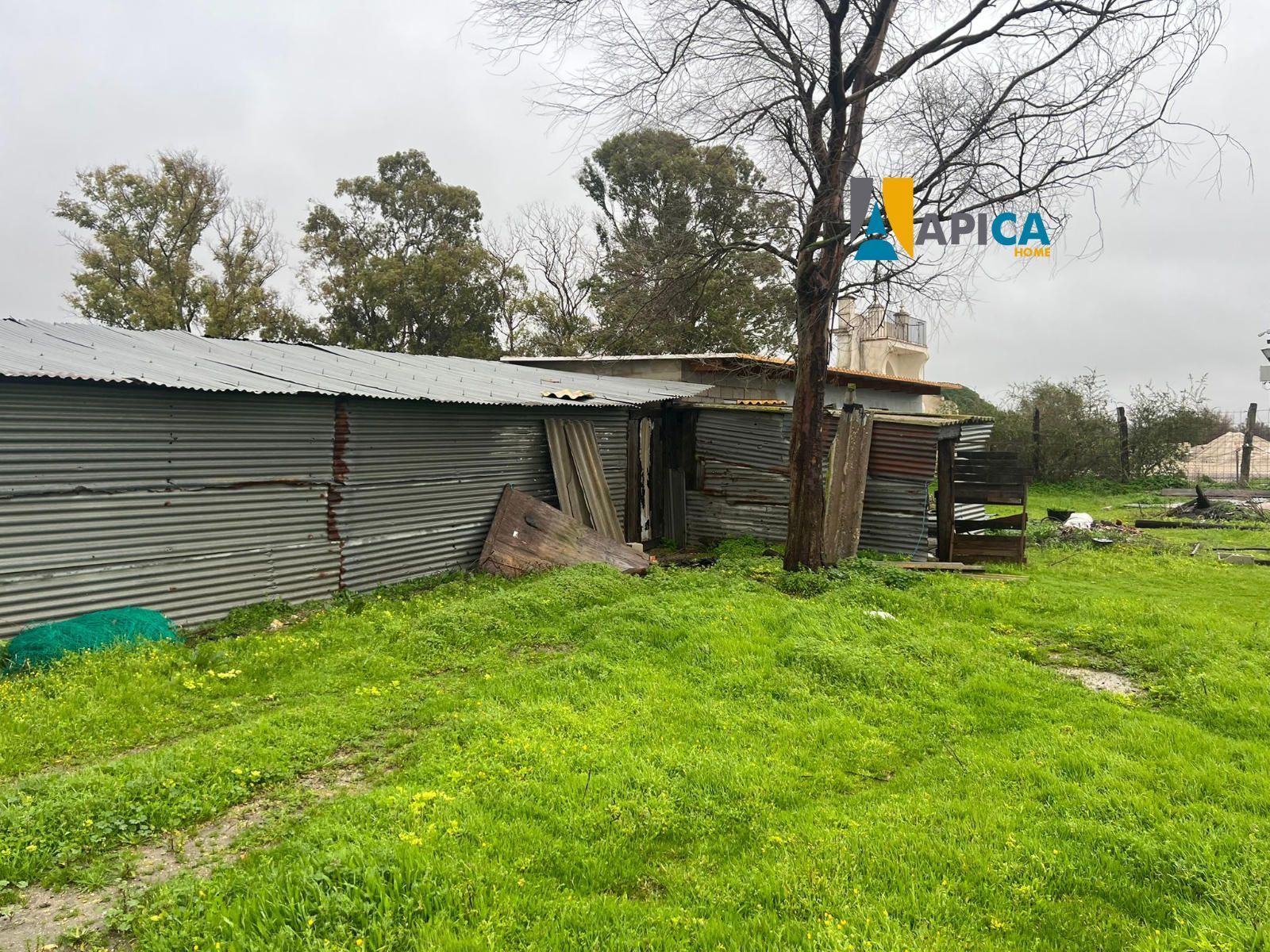 Exterior view of House or chalet for sale in Puerto Real