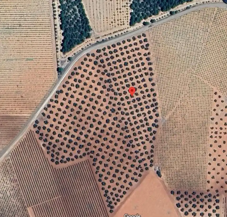 Casa rústica en venda a Valdepeñas, imagen 6