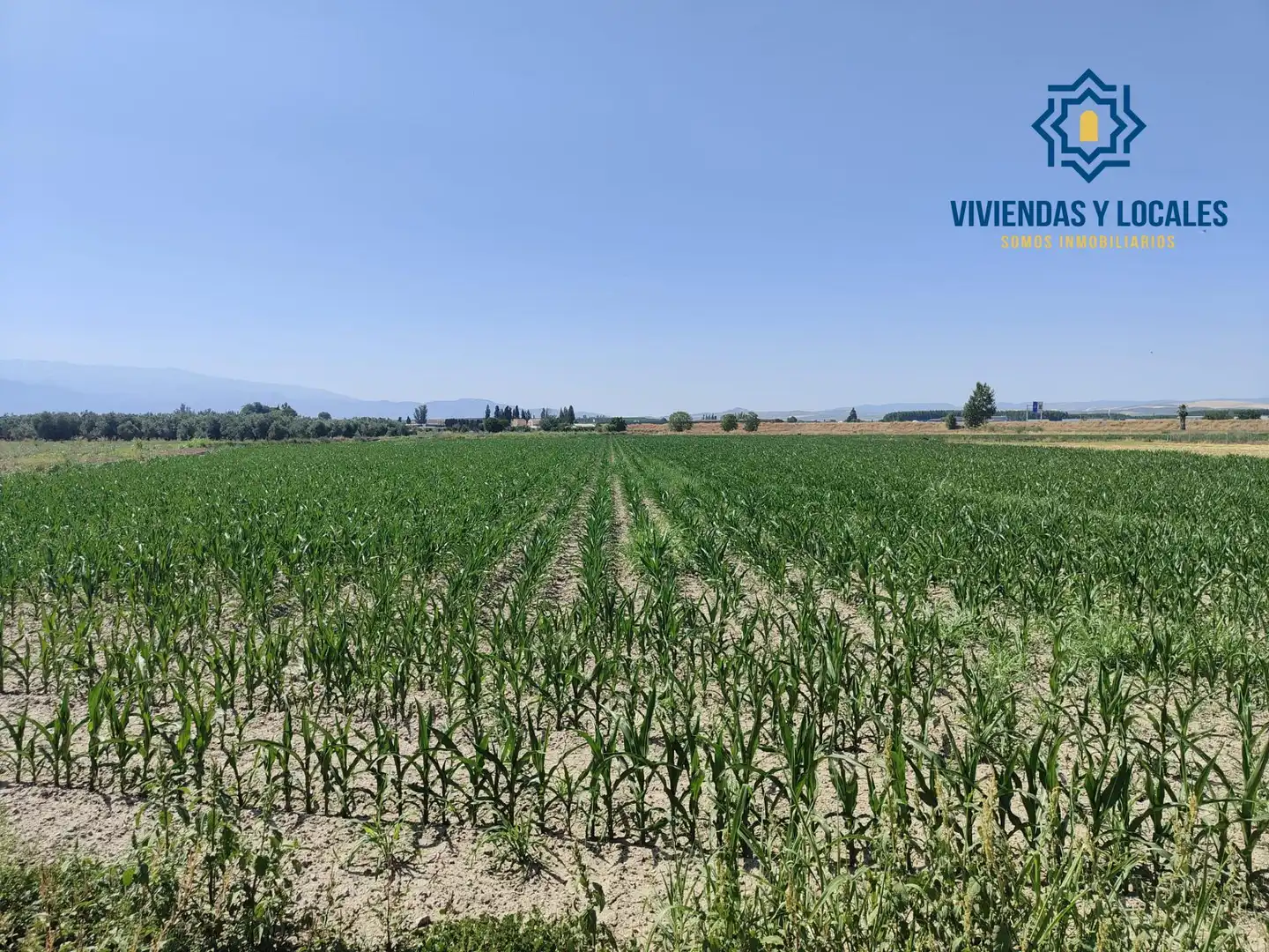 Terreni e lotti in vendita a Carretera Carretera de Pinos Puente, imagen 6